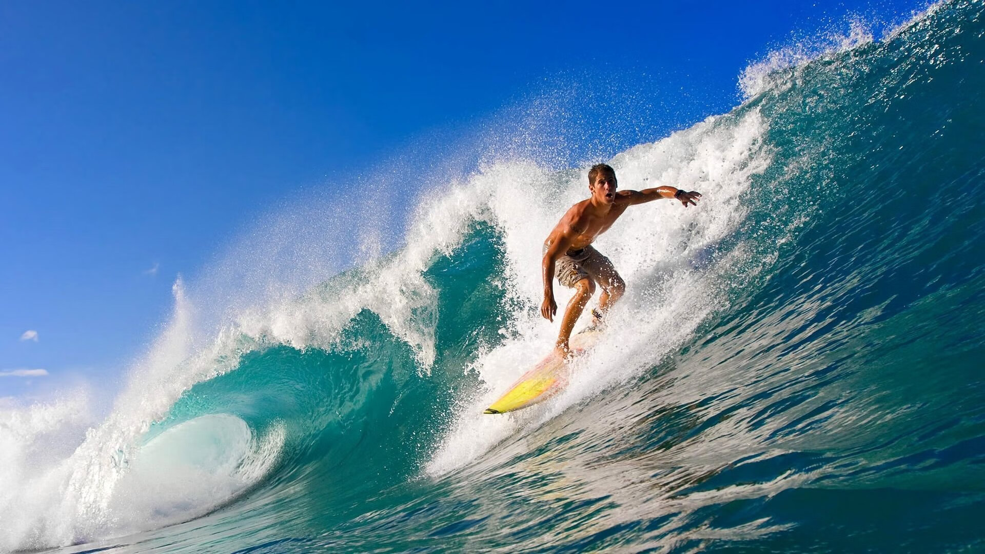 跳水表现亮眼韩国选手获赞，跳水韩国运动员
