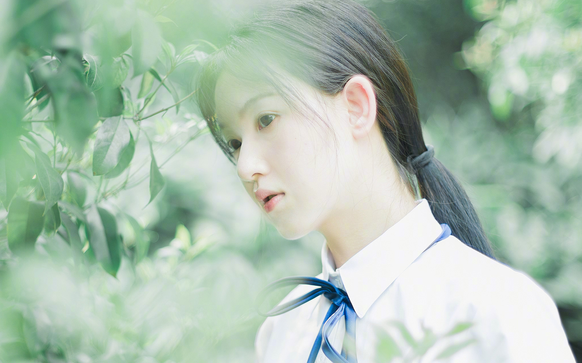 _城市高空索道骑行:全新城市玩法_,高空索道投资要多少钱