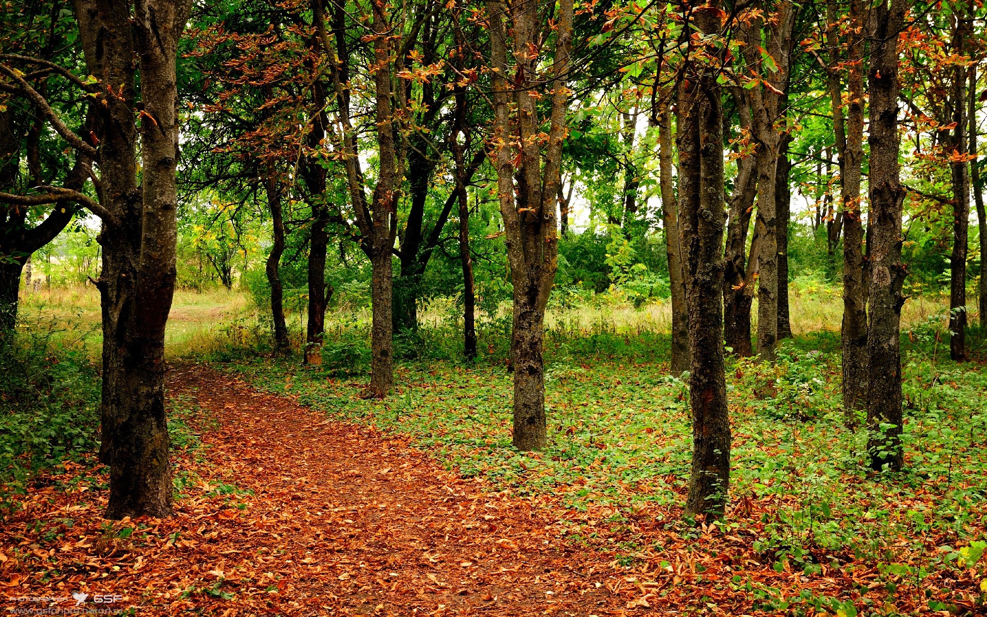 九游网页版官网-“球场大咖秀：明星球员的非凡绝技”，球星打比赛