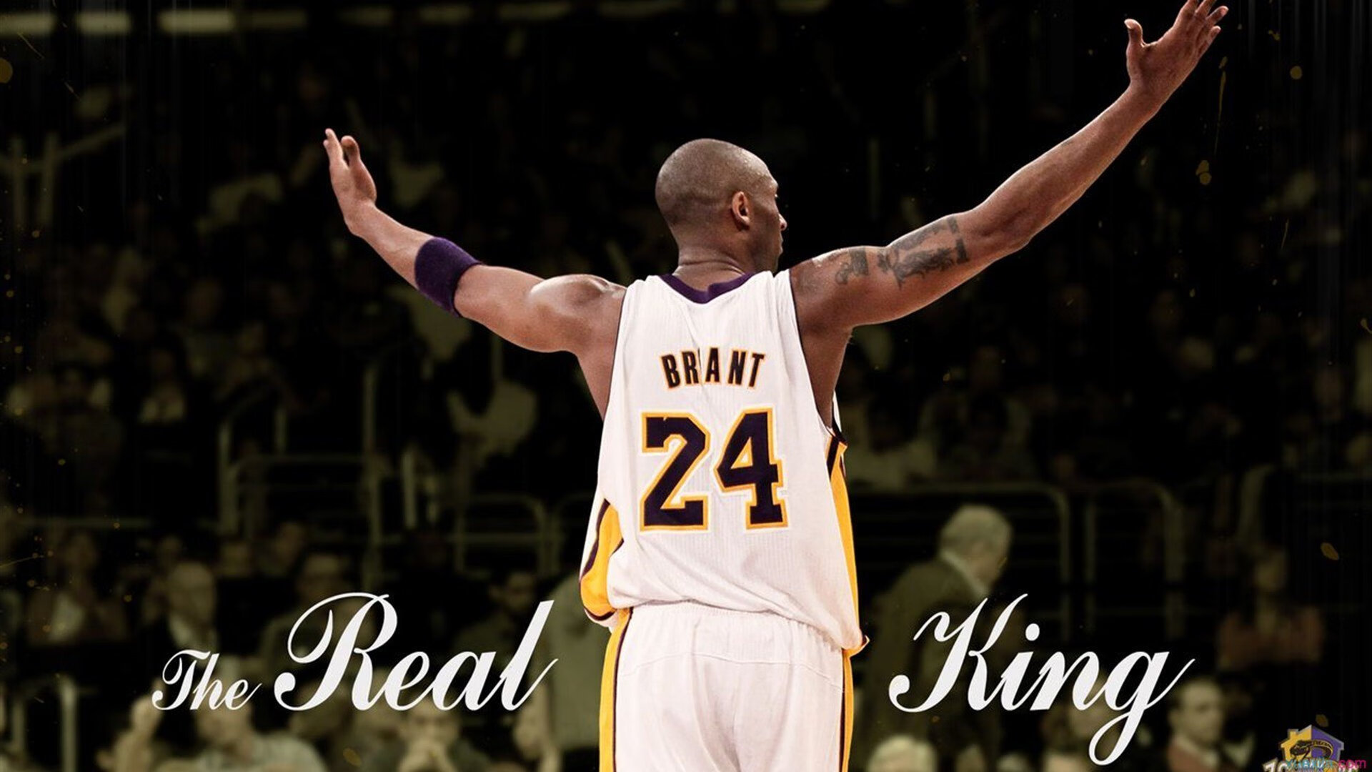 九游官网pc-萨默·麦金托什突破极限展现冠军潜质，麦提托合提·萨塔尔